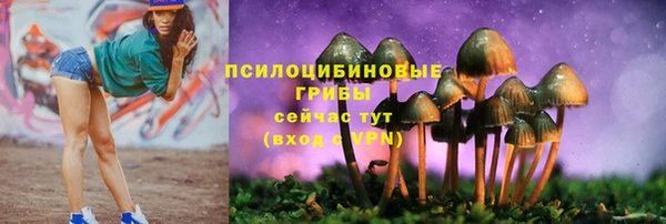 мяу мяу мука Вязьма