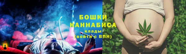 мяу мяу мука Вязьма