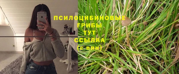 мяу мяу мука Вязьма