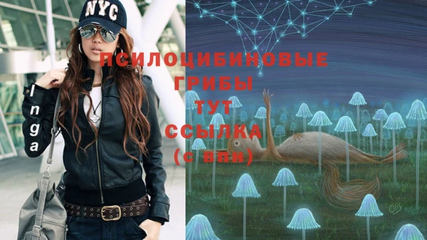 мяу мяу мука Вязьма