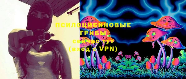 мяу мяу мука Вязьма